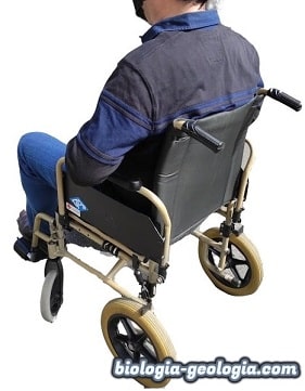 Persona en silla de ruedas